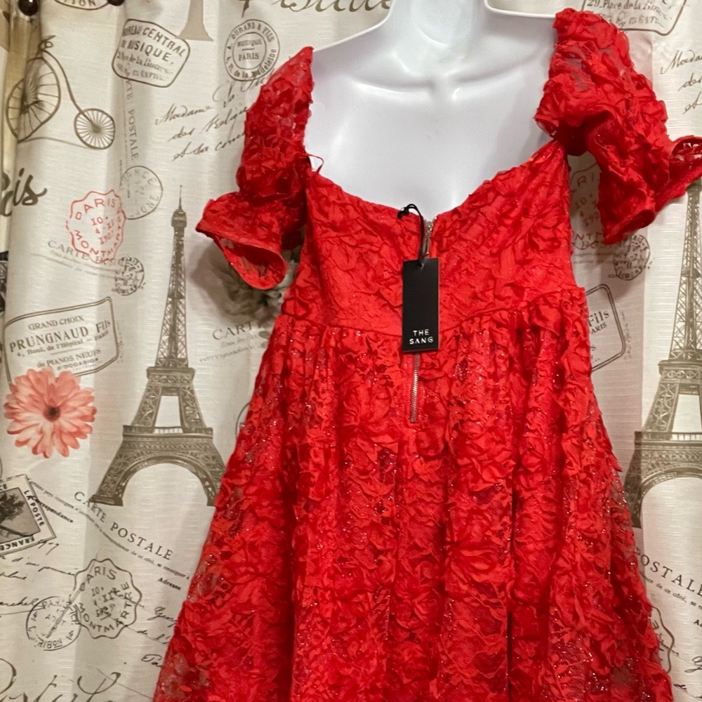 Red Lace Dress for Valentines or that special date - Picture 12 of 12